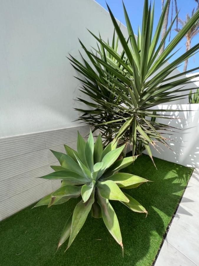 Corralejo Bristol Terrace Apartment Con Giardino Privato Esterno 외부 사진