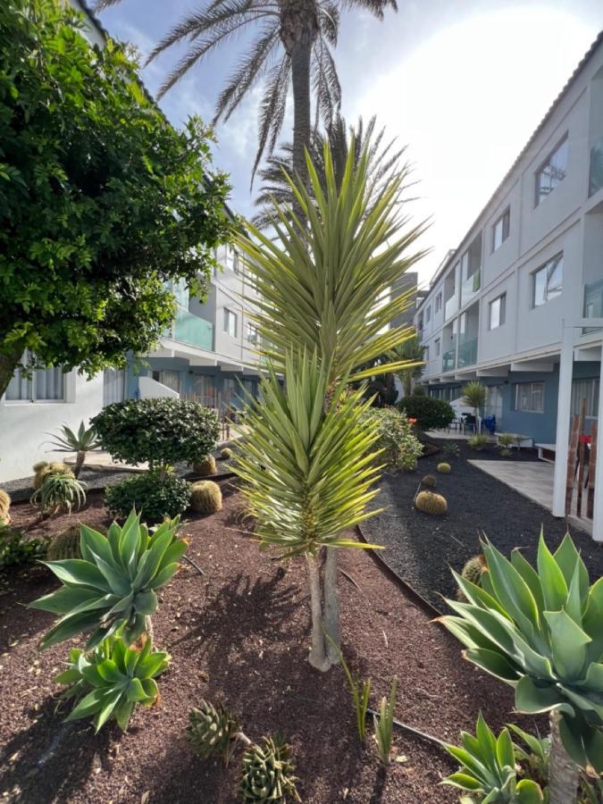 Corralejo Bristol Terrace Apartment Con Giardino Privato Esterno 외부 사진